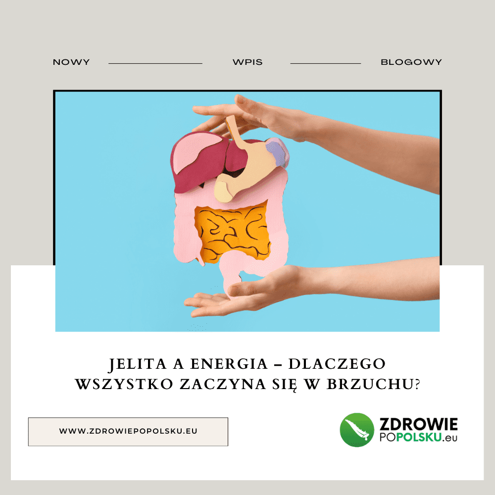 Jelita a energia – dlaczego wszystko zaczyna się w brzuchu